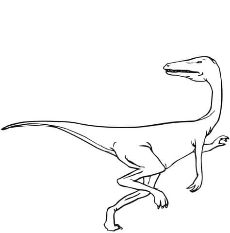 Featherless Velociraptor Free Printable Coloring Page