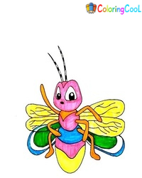 9 Simple Steps To Create A Nice Firefly Drawing – How To Draw A Firefly Coloring Page