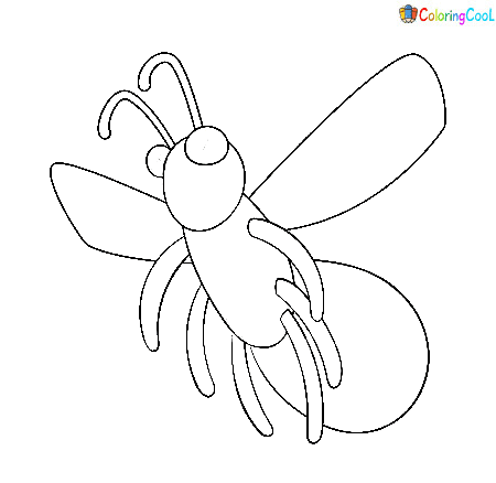 Firefly Image Clip Art Coloring Page
