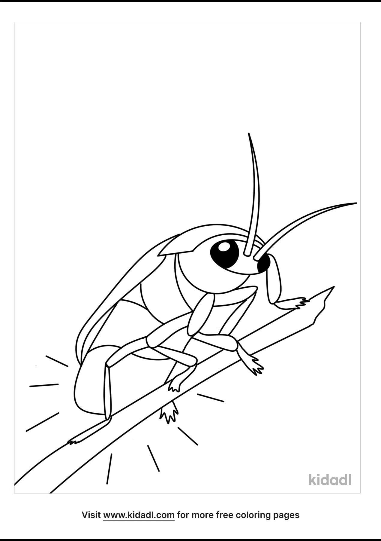 Firefly In A Jar Coloring Printable Free Coloring Page