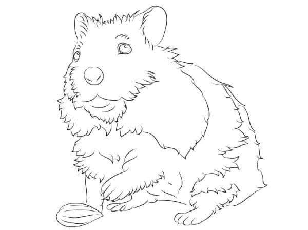 Fluffy Fat Man with seeds Coloring Page