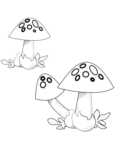 Fly Agaric Free Coloring Page