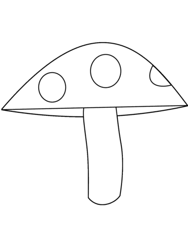 Fly Agaric Image