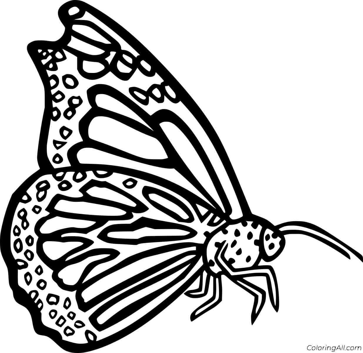 Flying Moth To Print Coloring Page