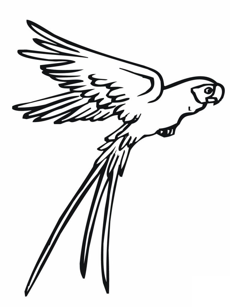 Flying Parrot Free Image Coloring Page