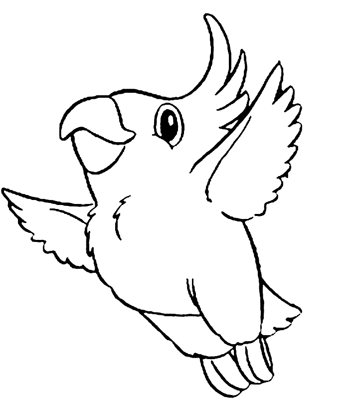 Flying Parrot Free Printable Coloring Page