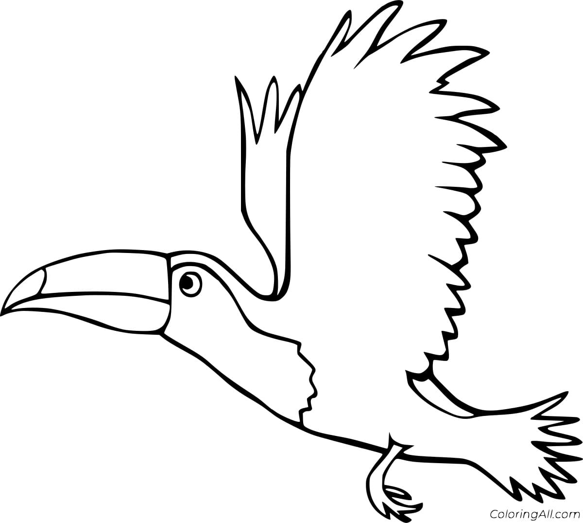 Flying Toucan To Print Coloring Page