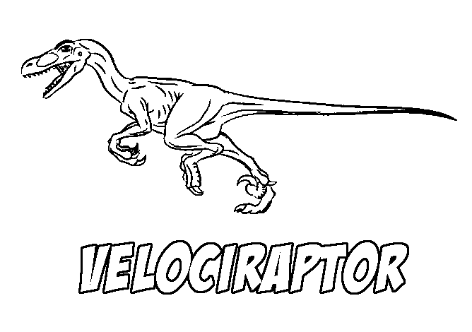 Free Coloring Page Velociraptor Dinosaur Free Coloring Page
