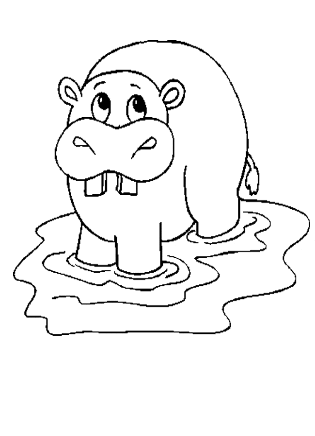 Free Hippo Coloring Pages Coloring Page