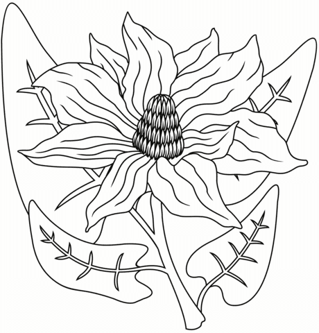 Free Magnolia To Print Coloring Page
