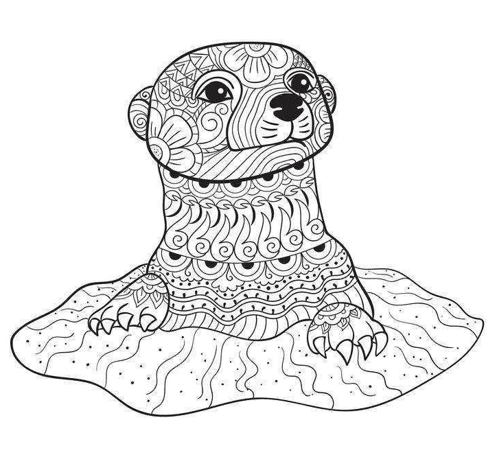 Free Otter Printable Coloring Page