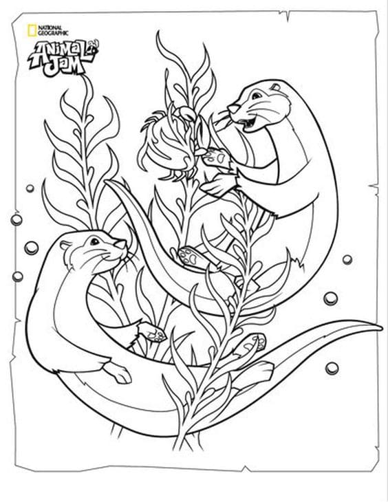 Free Printable Otter Cute Coloring Page
