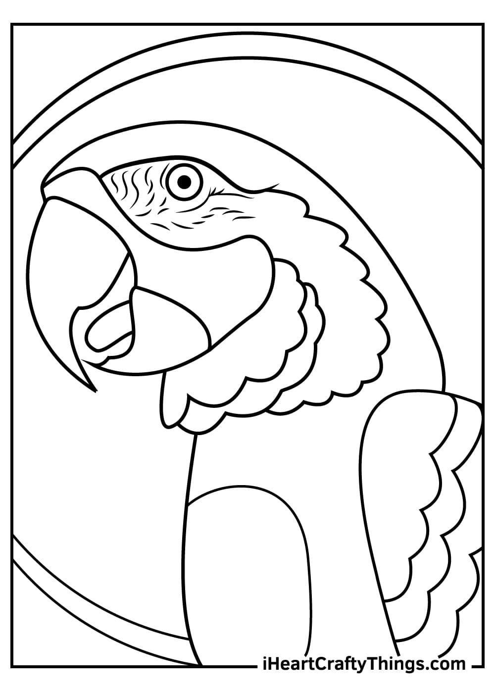 Free Printable Parrot Coloring Page