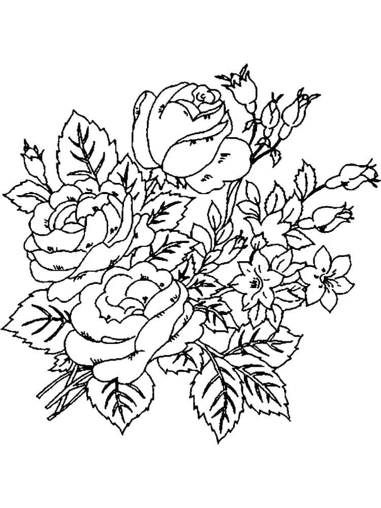 Free Printable Peony Flower Beautifull Coloring Page