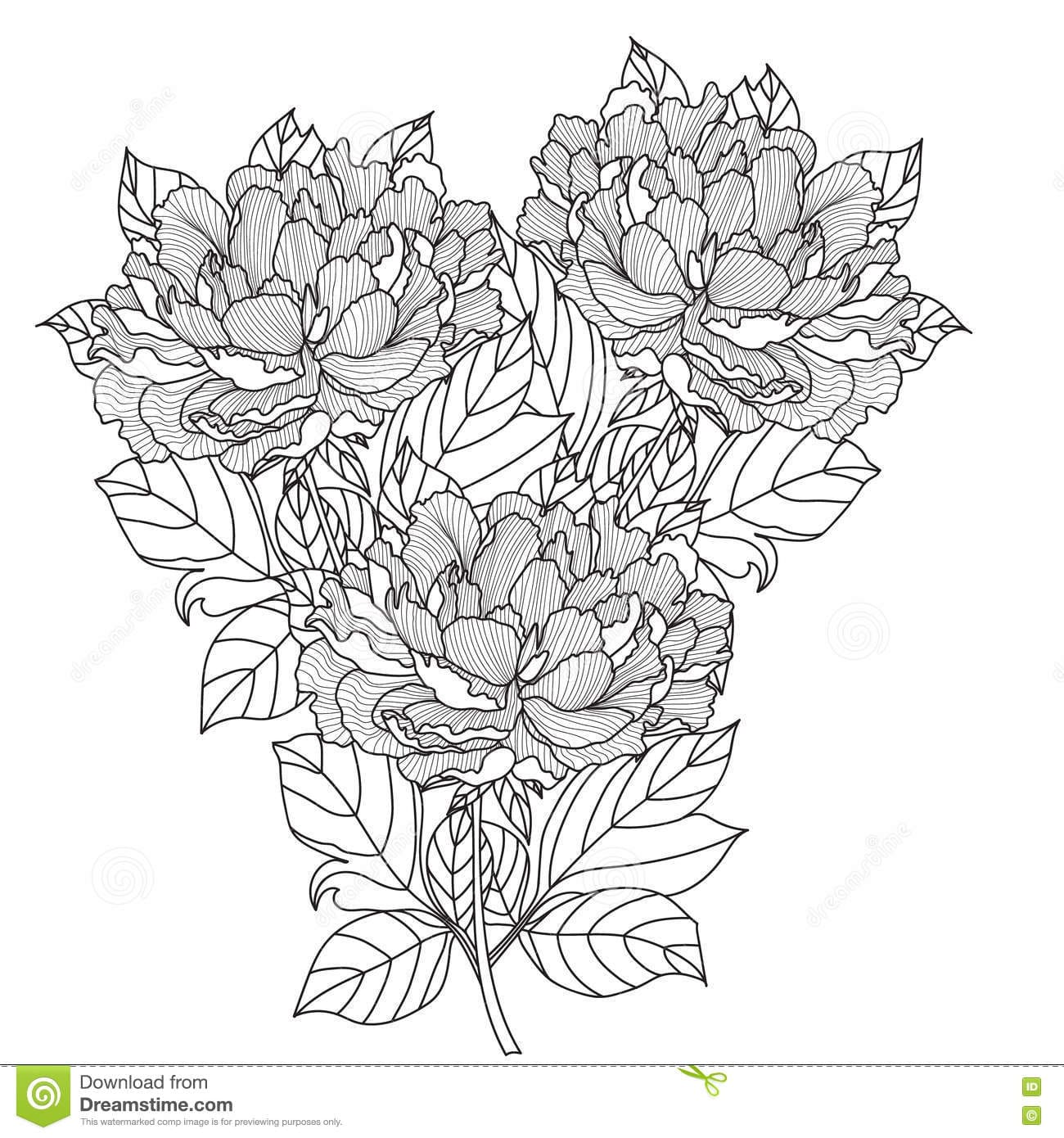 Free Printable Peony Lovely Coloring Page