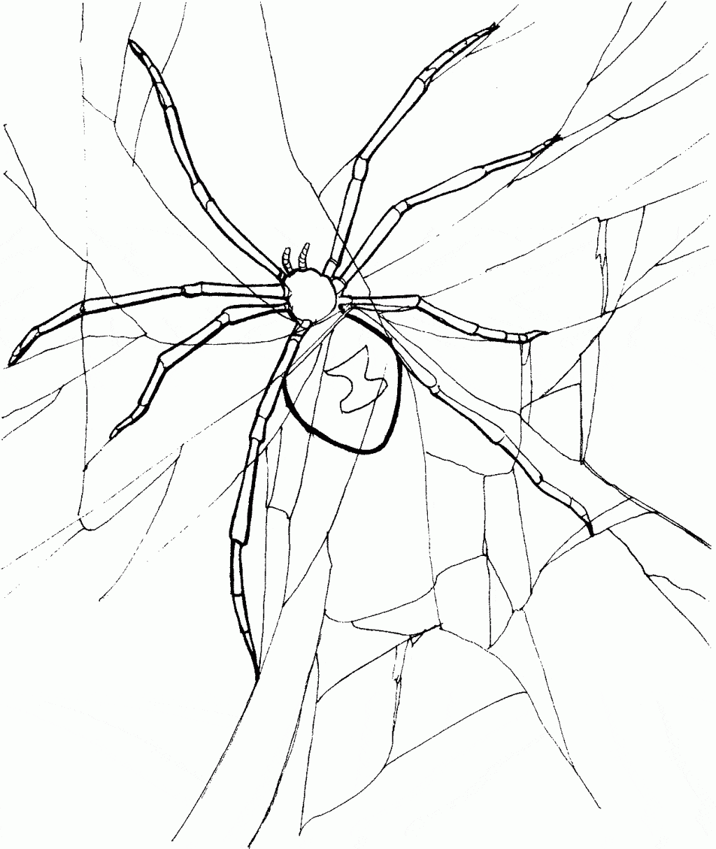 Free Printable Spider For Kids