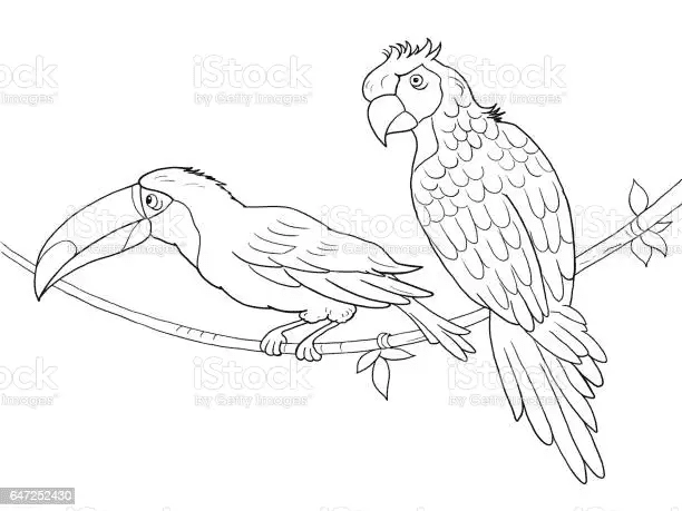 Free Printable Toucan Image For Children Coloring Page