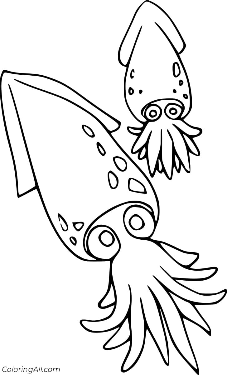 Free Printable Two Cute Squid Coloring Page