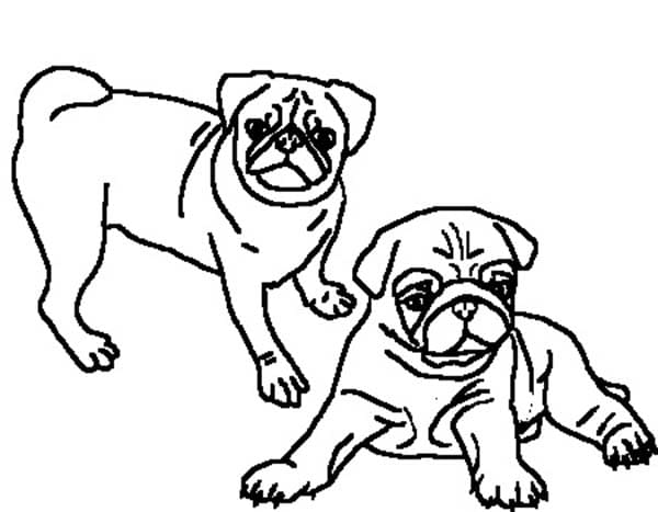 Free Pug Coloring Free Coloring Page