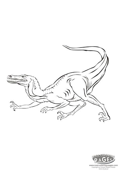 Free Velociraptor Coloring Page Coloring Page