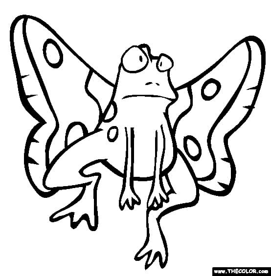 Frog Moth Free Coloring Page