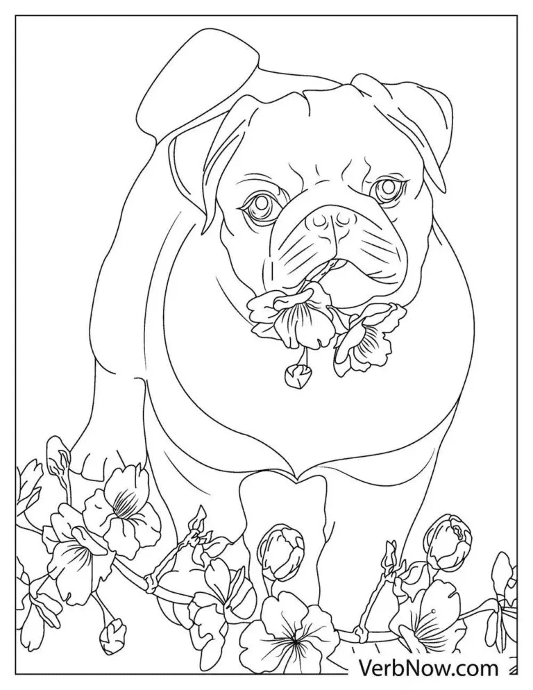 Funny Faces And Flower Coloring Pages Coloring Page