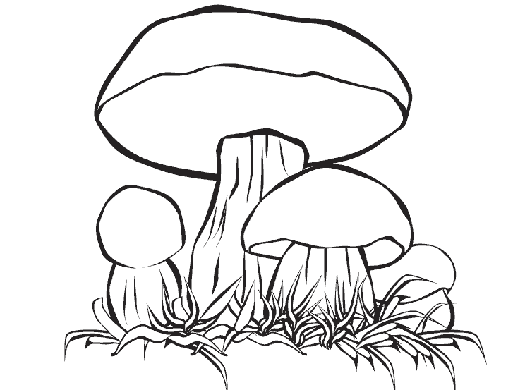 Funny Mushrooms coloring page Free
