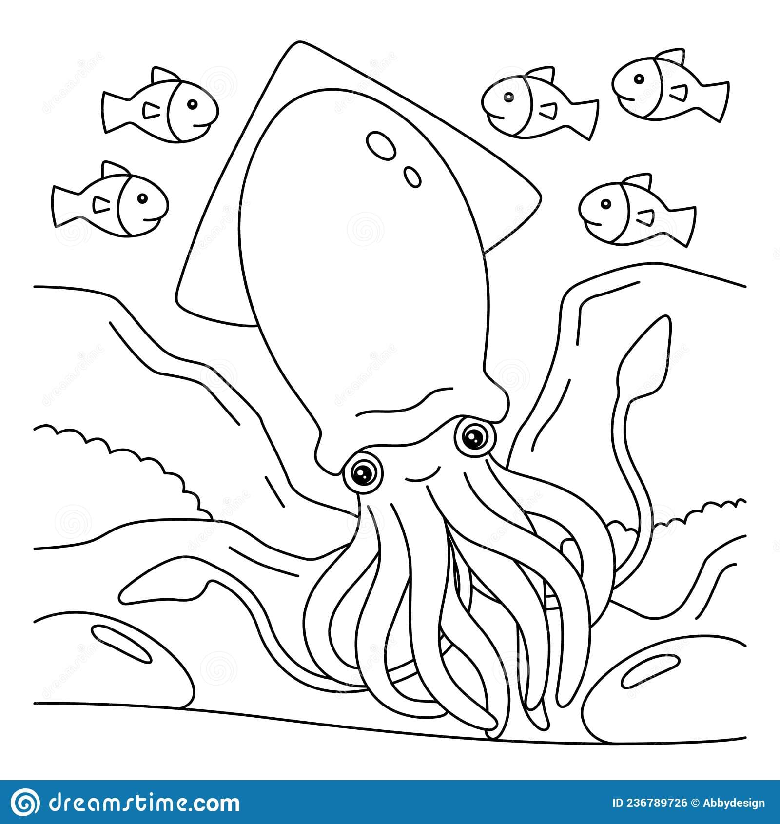 Funny Squid Free Printable Coloring Page