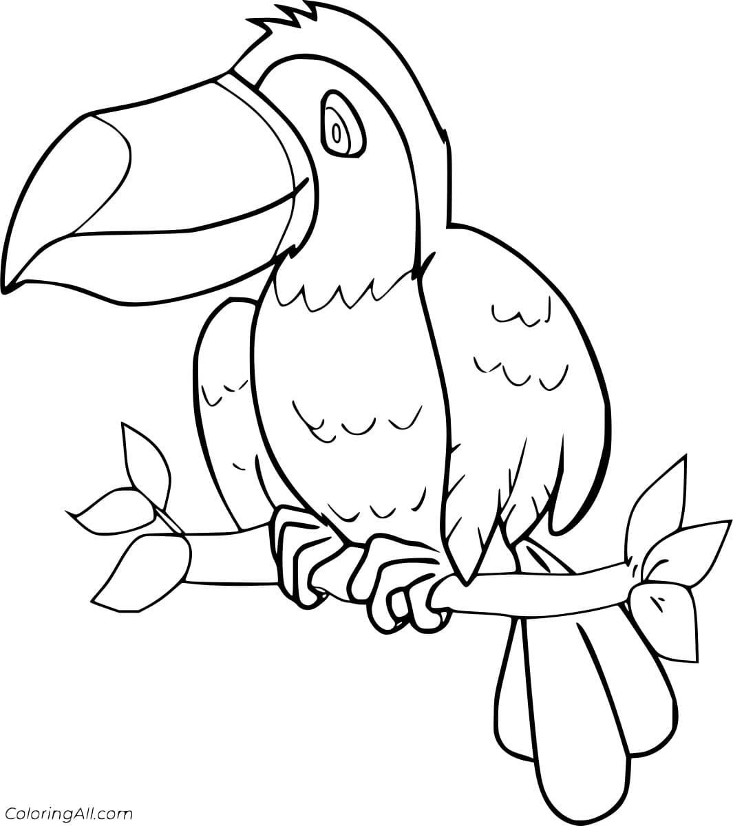 Funny Toucan on the Branch Coloring To Print Coloring Page
