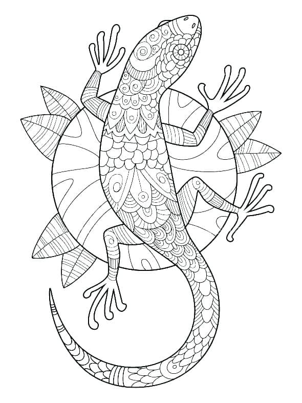 Gecko Coloring Pages for Adults Coloring Page