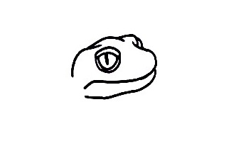 Gecko-Drawing-1