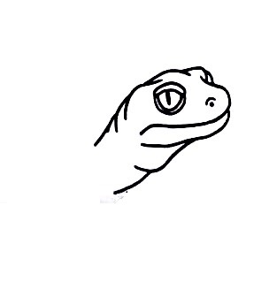 Gecko-Drawing-2