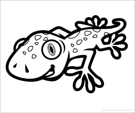 Gecko Lizard For Kids Coloring Page