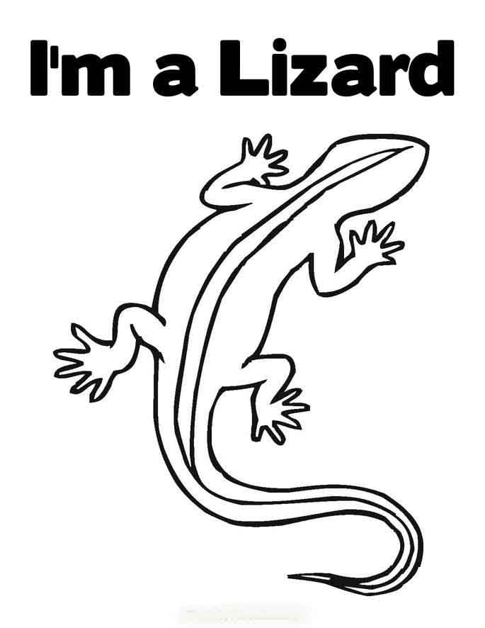 Gecko Picture Free Coloring Page