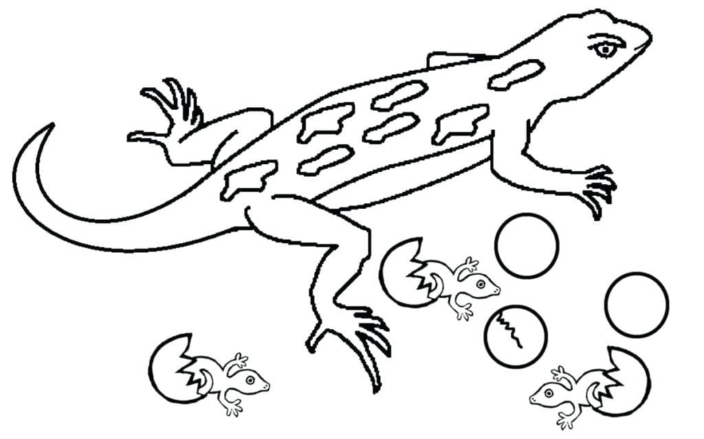 Gecko Printable Free Image Coloring Page