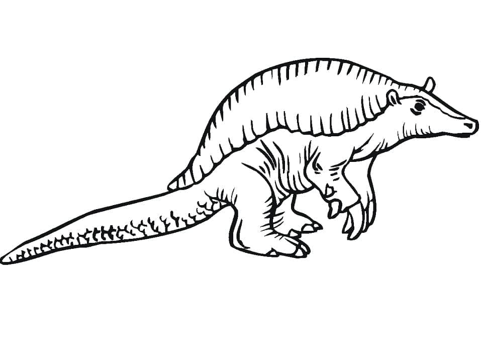 Giant Armadillo Printable Coloring Page