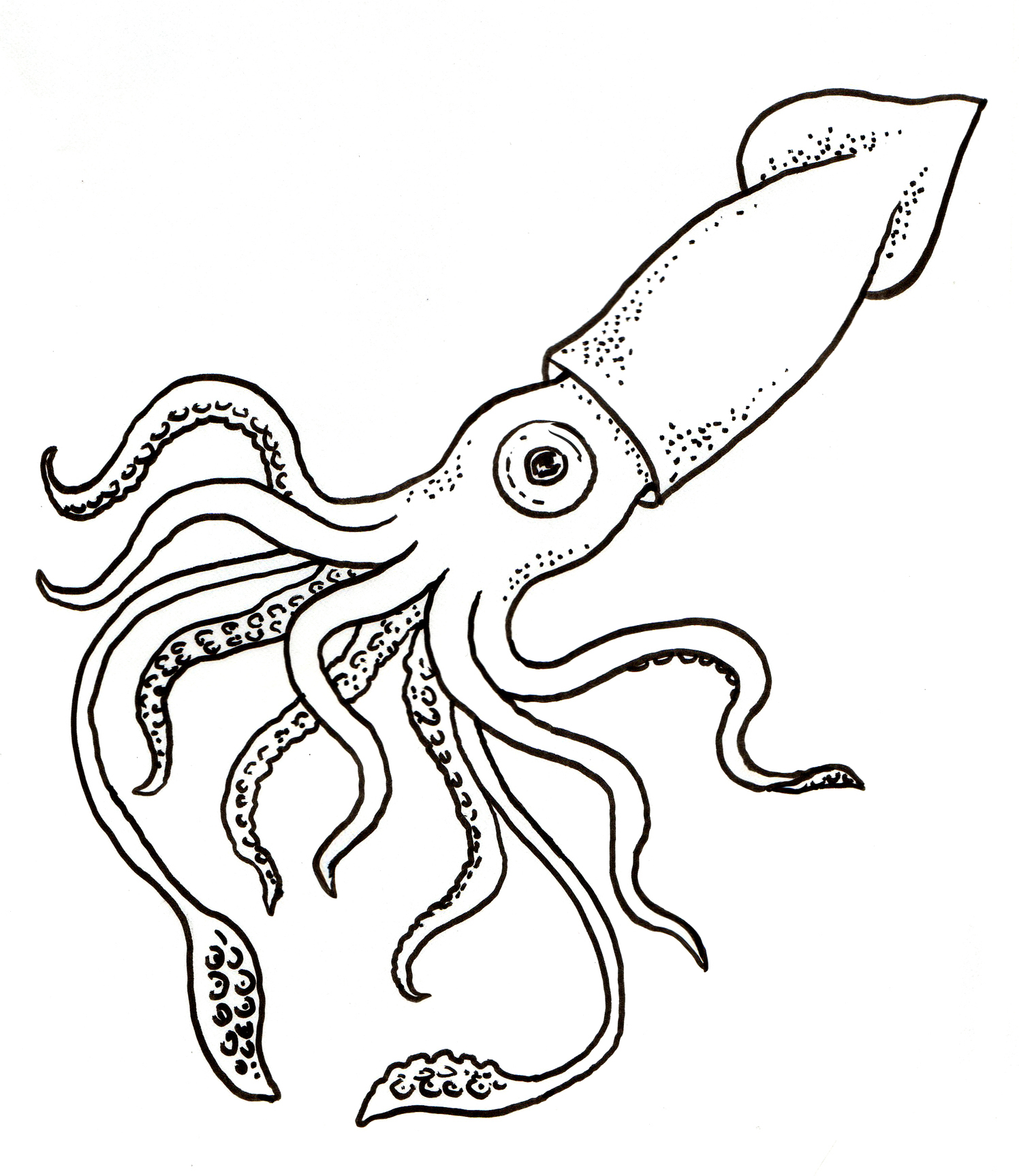 Giant Squid Coloring Page