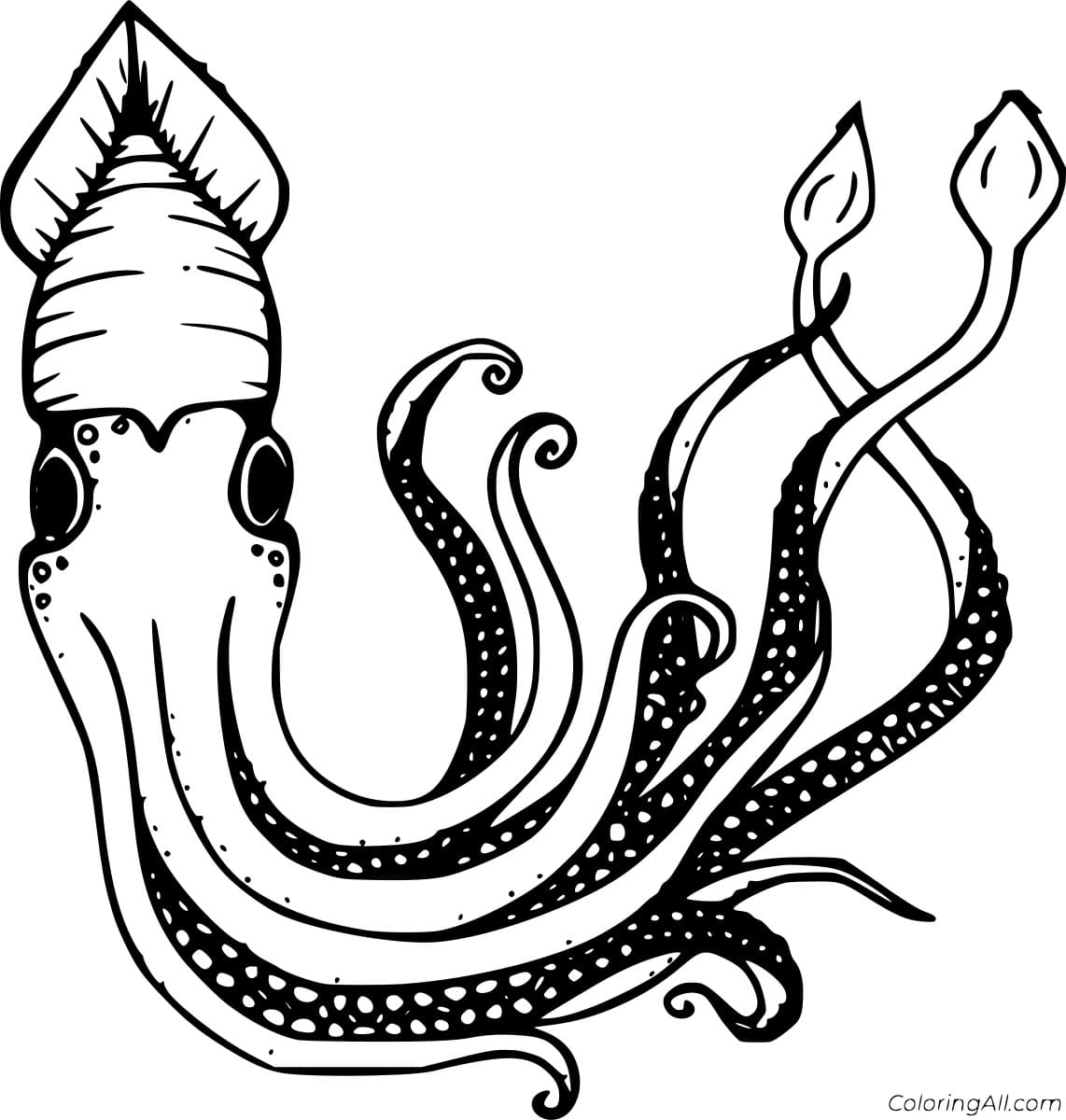 Giant Squid Free Printable Coloring Page