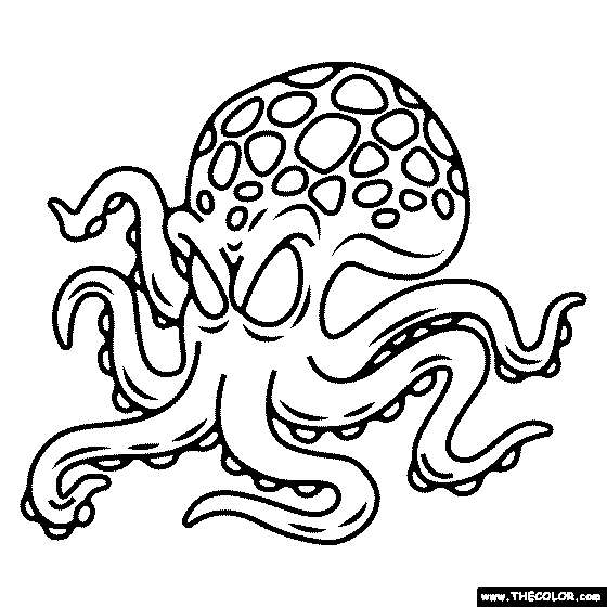 Giant Squid Picture Coloring Page