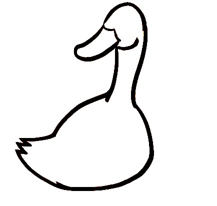 Goose-Drawing-4