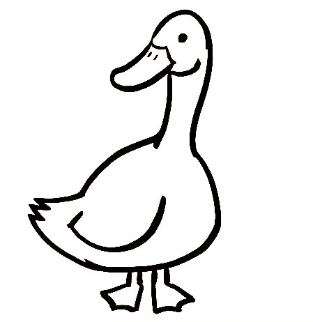 Goose-Drawing-5