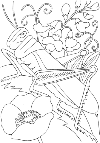 Grasshopper Among Flowers Free Coloring Page