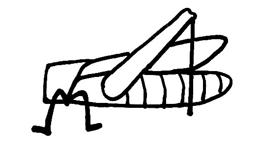 Grasshopper-Drawing-5