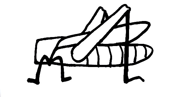 Grasshopper-Drawing-6