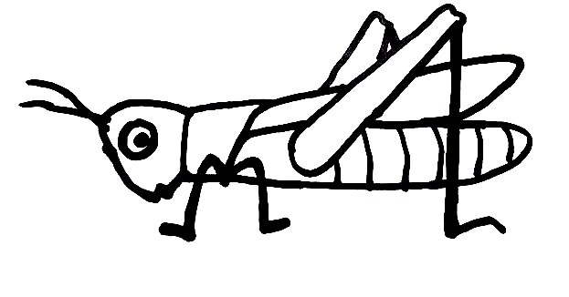 Grasshopper-Drawing-7