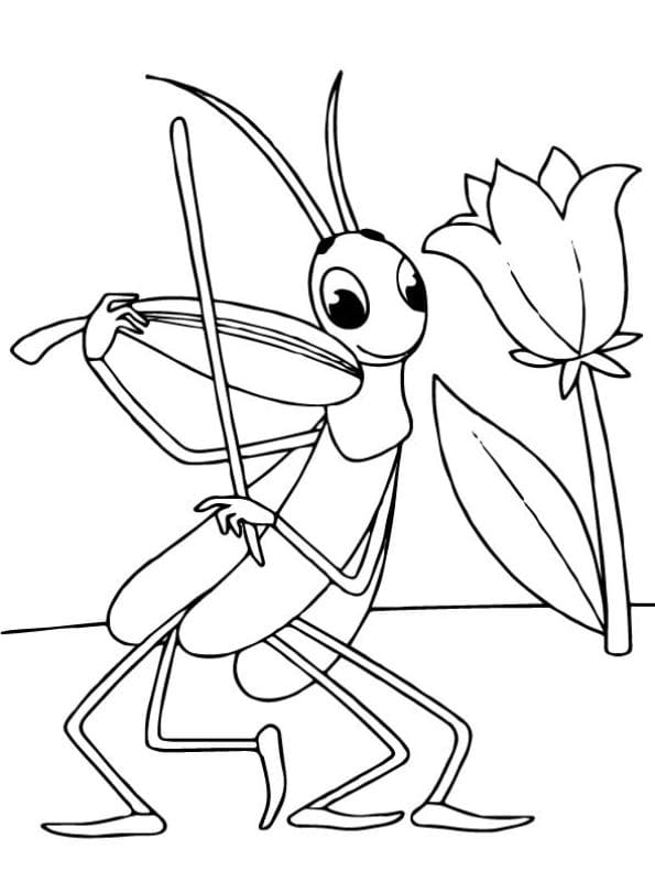 Grasshopper Image