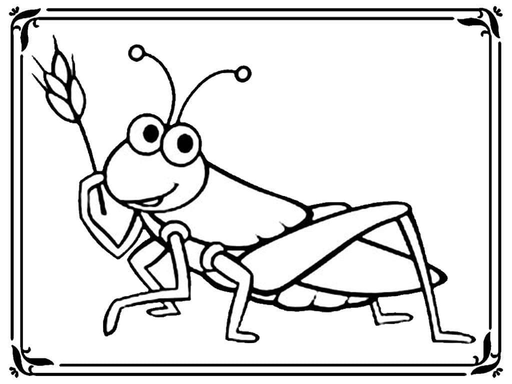 Grasshopper Image Printable For Kids