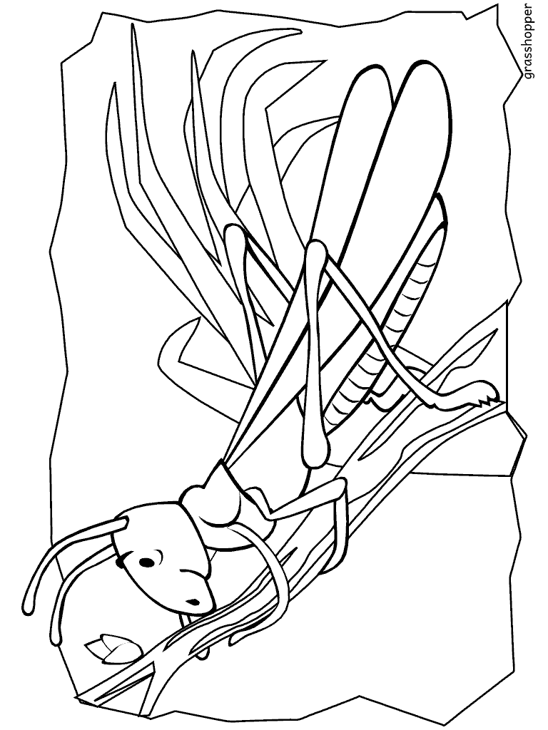 Grasshopper Picture Free Coloring Page