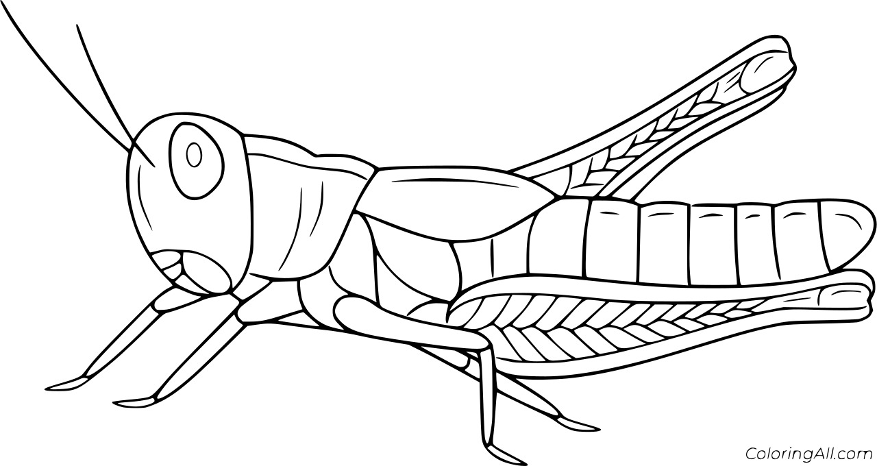 Grasshopper Without Hind Legs Coloring Page