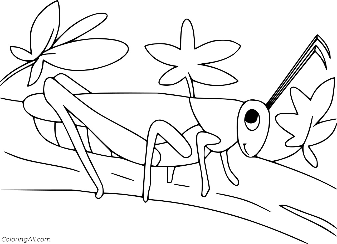 Grasshopper and Flowers Coloring Page